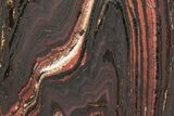 Polished Tiger Iron Stromatolite Slab - Billion Years #222027-1